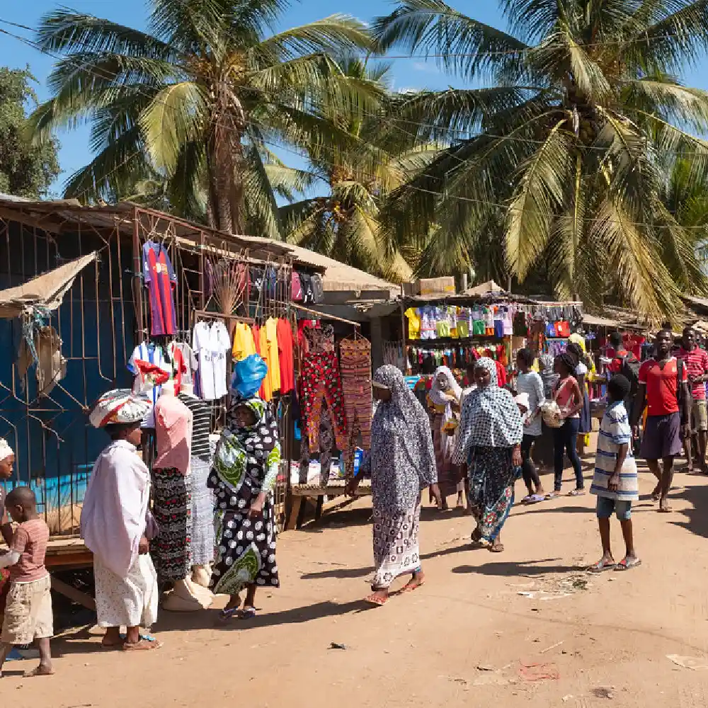d85c89045525-PEMBA-CULTURA-copy.webp