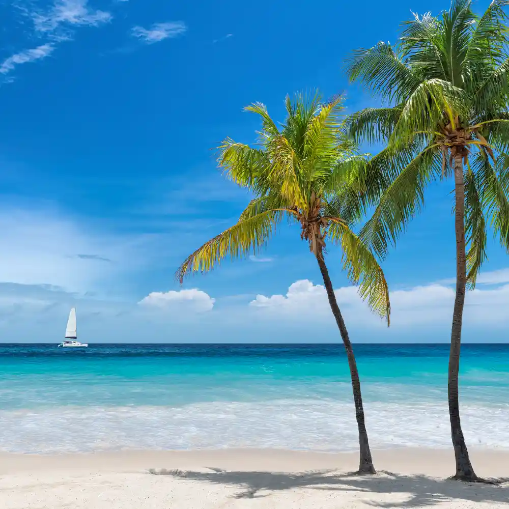 474e3d20d802-PEMBA-LOCAIS-DE-INTERESSE-TURISTICO-copy.webp